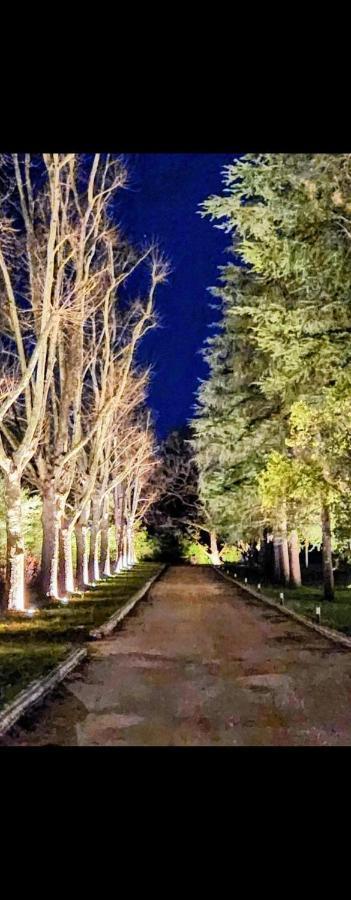 La Casa Nel Parco Luxury B&B San Lazzaro di Savena Exterior foto